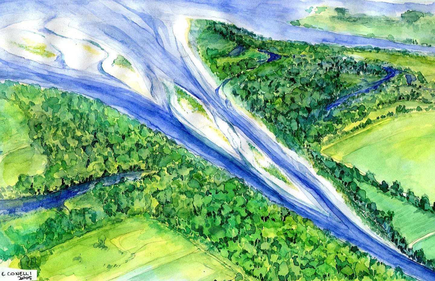 Ricostruzione del delta del Ticino senza estrazione inerti